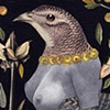 Full-Breasted Prairie Hen
