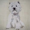 CUTE WESTIE