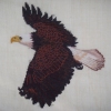 FLYING EAGLE