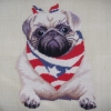 AMERICAN PUG