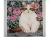 ROSES & CAT