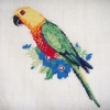 YELLOW PARROT