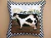 CHECK BORDER COW PILLOW