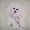 BICHON