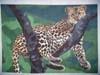 LEOPARD HAND-PAINTED CANVAS