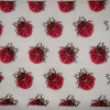LADY BUG DESIGN