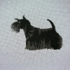 SCOTTIE