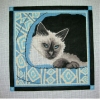 SIAMESE CAT