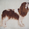 KING CHARLES