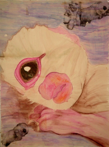 Cyclopia