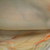 Desert Detail II