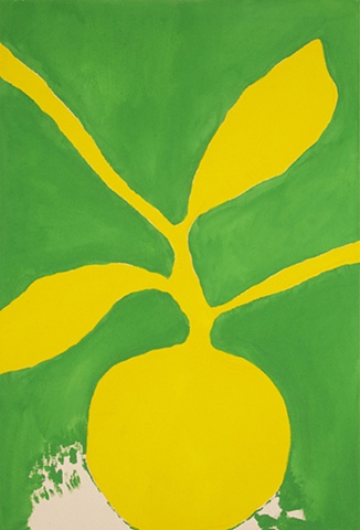 Green and Yellow Plant