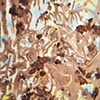Mud Work
