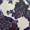 Through the Earth Map