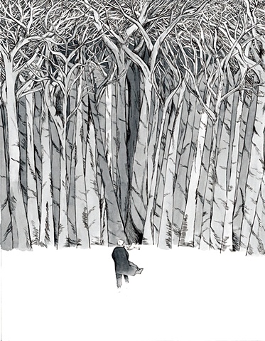 The Woods