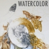 Watercolor