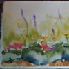 Pamela's Garden