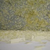 Cognizance (detail)