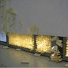 Cognizance (detail)
