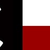 Texas Psychobilly Flag