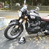2007 Triumph