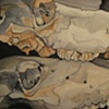 Cow Skulls - Still Life