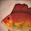 Fish - Still Life