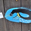 Blue Reef Fish
