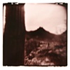 Arizona 3