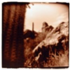 Arizona 2