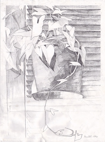 Houseplant Sketch