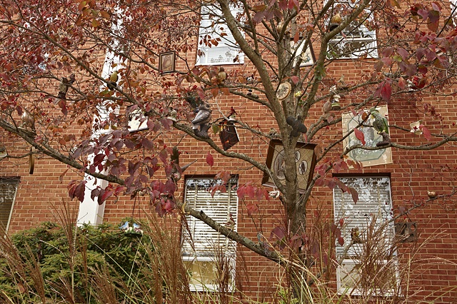 Roost