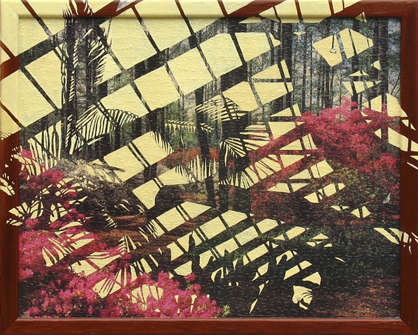 Azaleas and Woods