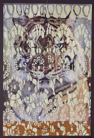 Tiger Curtain