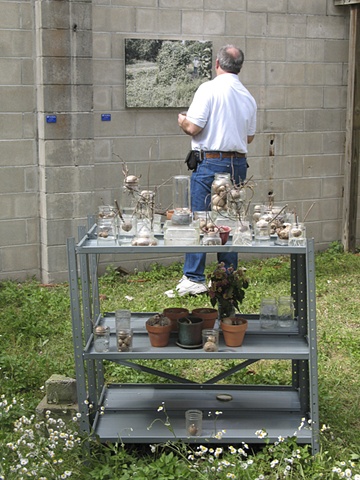 Invasive Environments
