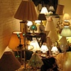 Lamp Forest 