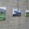 Invasive Environments