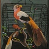 Untitled Pair 10
(Mexican Feathercraft in Cleveland, TN)