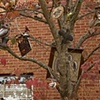 Roost, detail