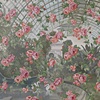Winter Garden