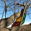 Roost, detail