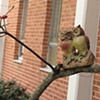 Roost, detail