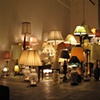 Lamp Forest (Dress Rehearsal)