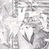 Houseplant Sketch