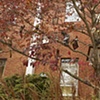 Roost