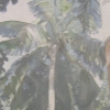 Palm Tree
