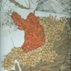 Le Desert (detail)