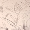 Growing Wild III