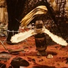Ground Springs III (detail)
