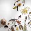 Off Spring II, installation detail